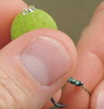 Tandem Baits FC Boilies - dumbel stoper clear 2ks