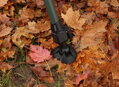 Kreslo Mivardi CamoCODE Express