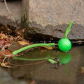 ZECK - sumcová zátěž - CAT Fireball PRO GREEN 150g