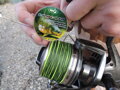 Šoková šnúra Katran CONCORD 25lb 24m