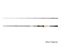 Delphin Zandera B-CAST - 210cm/5-28g
