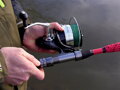 Delphin DANGER CatFISH - 285cm/350g/2diely
