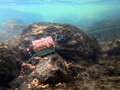 Krmítko s olovenou záťažou Delphin RiverSTIX - 120g