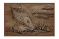 Delphin Rohož Retro BOILIE KAPRE - 60x40cm