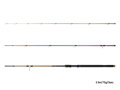 Delphin LEGIA CarpMATCH - 330cm/75g/3 diely