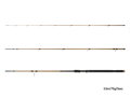 Delphin LEGIA CarpMATCH - 330cm/75g/3 diely