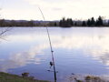 Delphin DANGER CatFISH - 285cm/350g/2diely