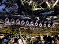 Olovená záťaž Delphin CyberBARBED TUBE - 200g