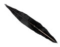 Delphin Carp MISIA 390-3 - 150cm
