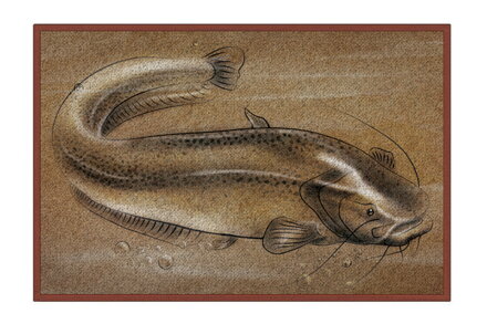 Delphin Rohož Retro SUMEC - 60x40cm