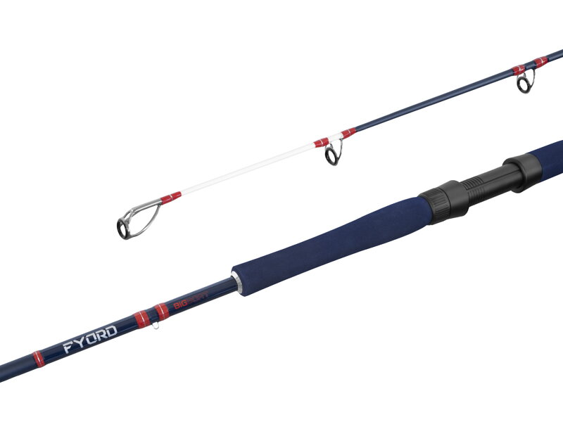 Delphin FYORD BigBOAT - 200cm/300-400g/2diely