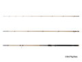 Delphin LEGIA CarpMATCH - 330cm/75g/3 diely