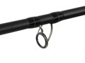 Delphin DUNAY Carp - 300cm/200g/2 diely