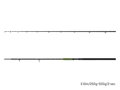 Delphin ENERGY Catfish - 250cm/250-500g/2 diely