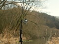 Delphin ENERGY Catfish - 250cm/250-500g/2 diely