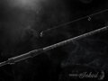 Delphin INKED Carp - 360cm/3.0lbs/2 diely
