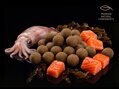 Boilies Delphin BreaX / SeaKER - Squid-Losos/20mm/300g