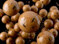 Boilies v dipe Delphin BreaX/NutCAKE - Tigrí orech-Scopex-Kukurica/20mm/200ml