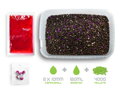 Pellet box Delphin Reaxe READY&GO - Slivka-Moruša/400g