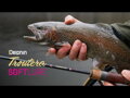 Delphin TROUTERA SoftLURE - 210cm/1-7g/2 diely