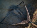 Podberák Giants Fishing Carp Net Luxury 42