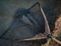 Podberák Giants Fishing Carp Net Luxury 42