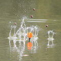 Plavák Gardner Marker Seeker Float