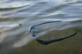 Giants Fishing Polarizačné okuliare Polarized Glasses Deluxe 2