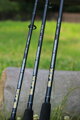 Giants Fishing Prút Black Method Feeder 10ft 40-90g