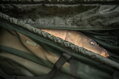 Vážiaci sak Wychwood Floating Weigh Sling