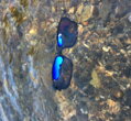 Polarizačné okuliare Giants Fishing Polarized Glasses Deluxe