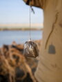 Giants Fishing PVA sáčky Bags 200 x 70mm , 25ks ( mega pack )