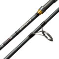 Giants Fishing Prút Radiant Carp Cast + 50 12ft 3.25lb