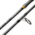 Giants Fishing Prút Radiant Carp Cast + 50 12ft 3.25lb