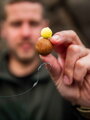 Giants Fishing Háčik s očkom Short Curve Shank 10ks