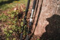 Hell-Cat Prút Black Vertical Casting 1,7m 180-250g