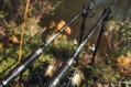 Giants Fishing Kaprový prút XRS200 10ft 3.25lb 2pc