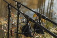 Giants Fishing Kaprový prút XRS200 10ft 3.25lb 2pc