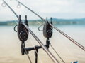 Giants Fishing Sada signalizátorov Wireless Set TX5 2+1