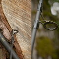 Kaprový prút Wychwood Extricator MLT 9ft