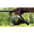 Prút Wychwood FLTR 10ft 2.25lb