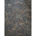 Giants Fishing Prút Fluent MK2 Feeder 11ft (3.3m) 90g