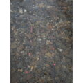 Giants Fishing Prút Fluent MK2 Feeder 11ft (3.3m) 90g